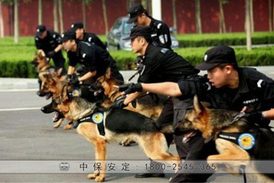 警犬護(hù)衛(wèi)