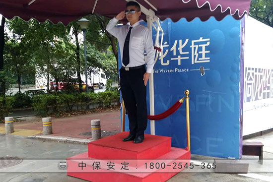 定制保安服務(wù)