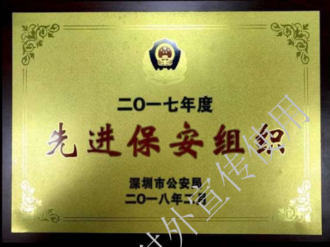 2017深圳先進(jìn)保安組織